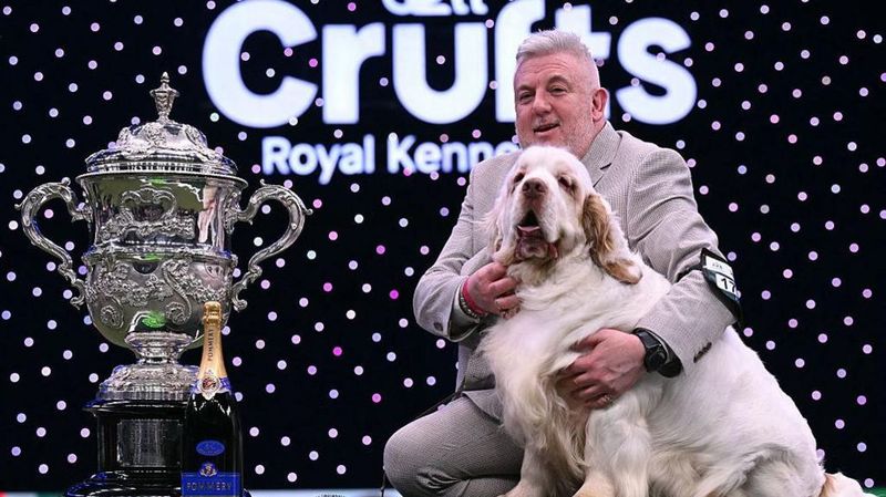 Lee Cox with Bruin the Clumber Spaniel beside the Crufts trophy