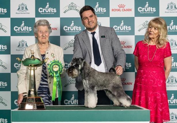 Photo from Birmingham Mail coverage of the Utility Group at Crufts 2026