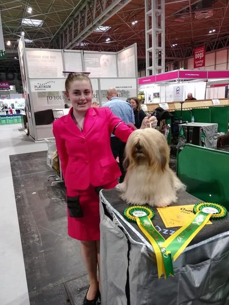 A young handler with a small long-coated dog at a dog show